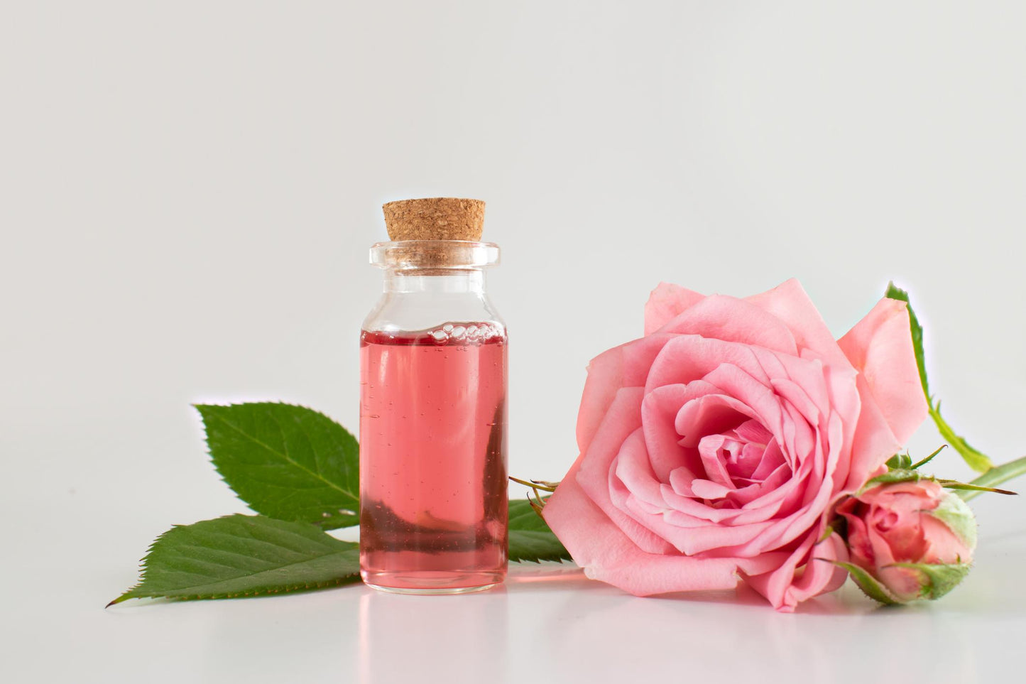 Mikaly Rocío de Rosas