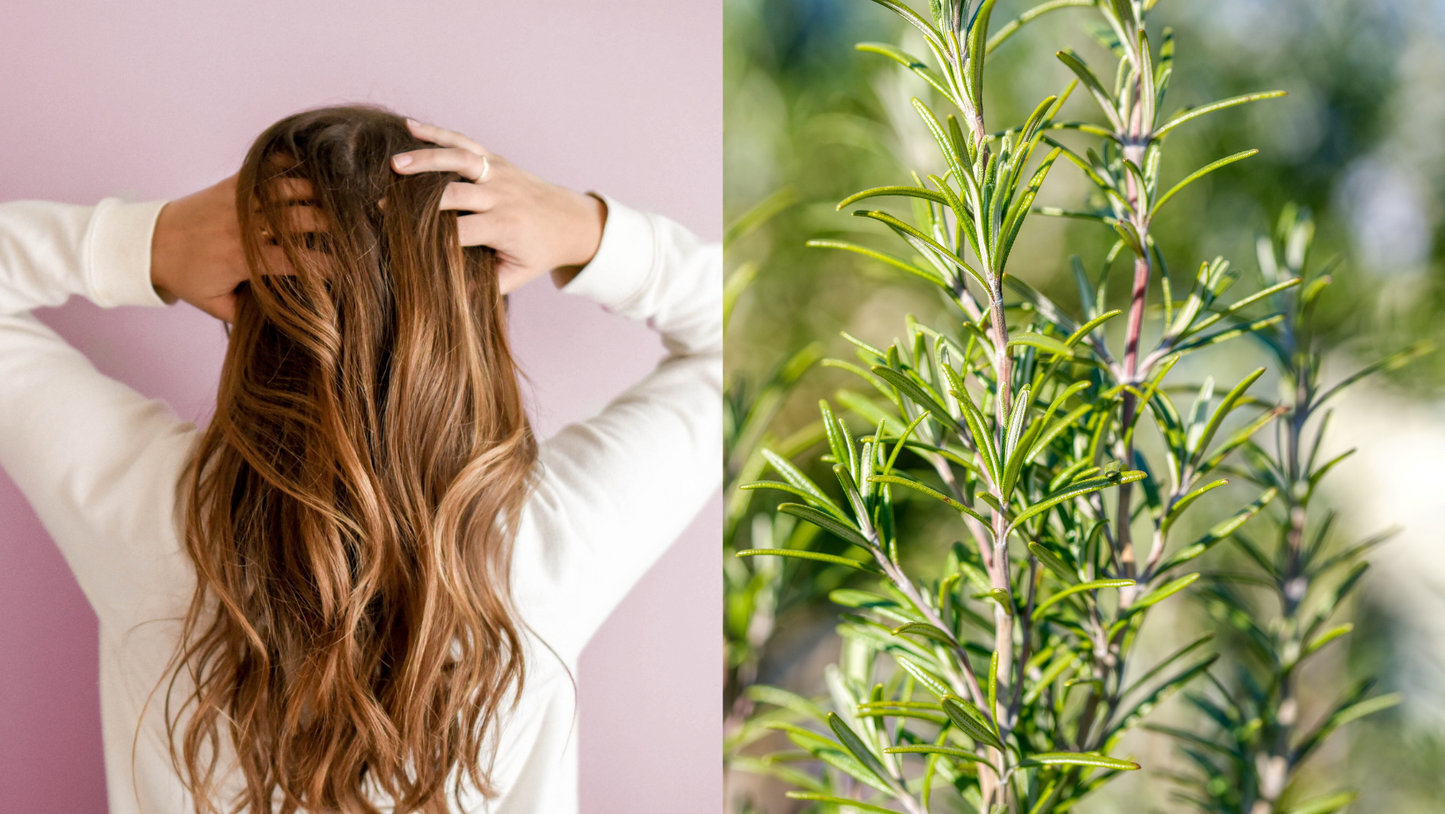 Rosemary, Ginger and Cinnamon Conditioner