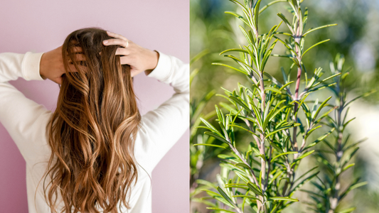 Rosemary, Ginger and Cinnamon Conditioner