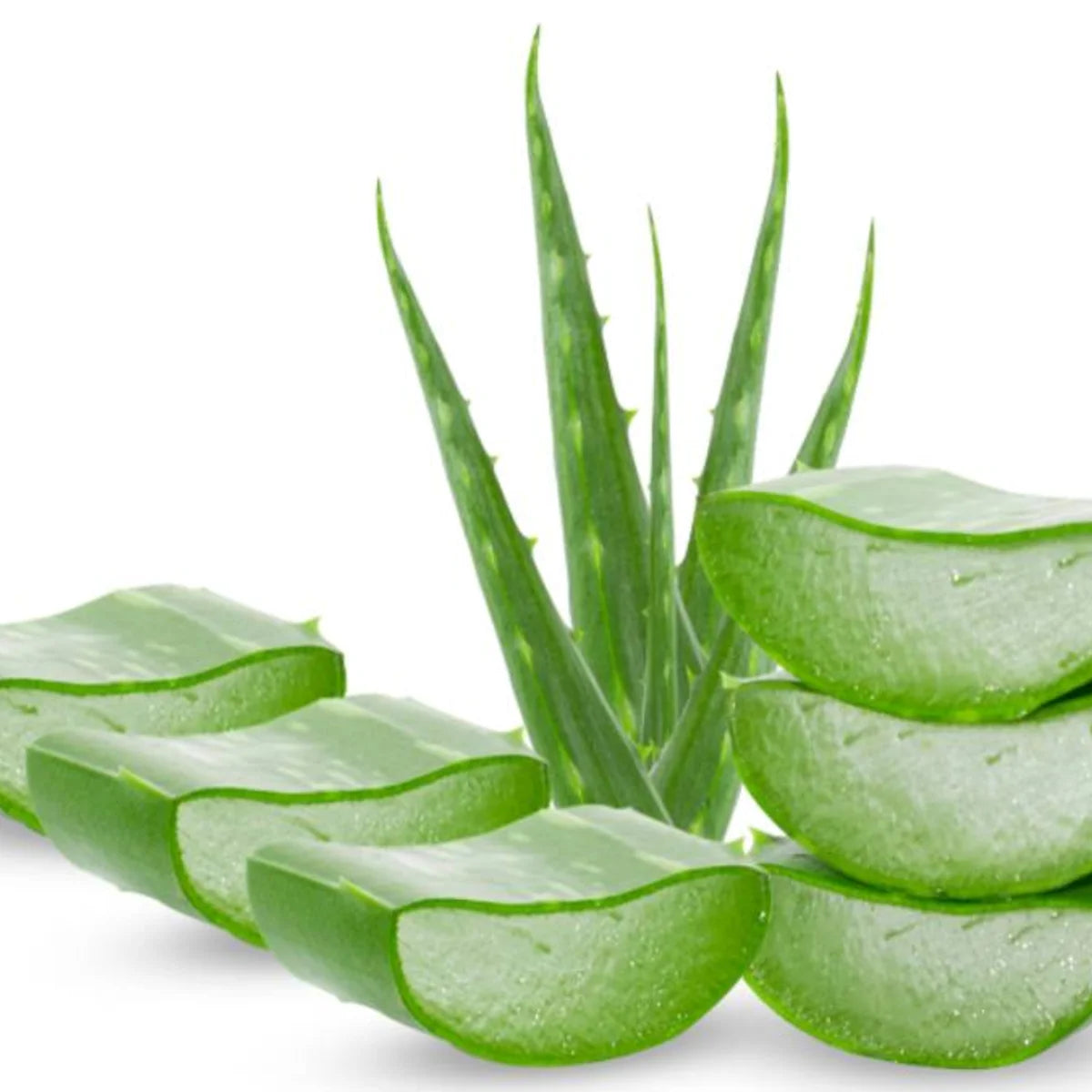 Shampoo de Aloe Vera y Cebolla