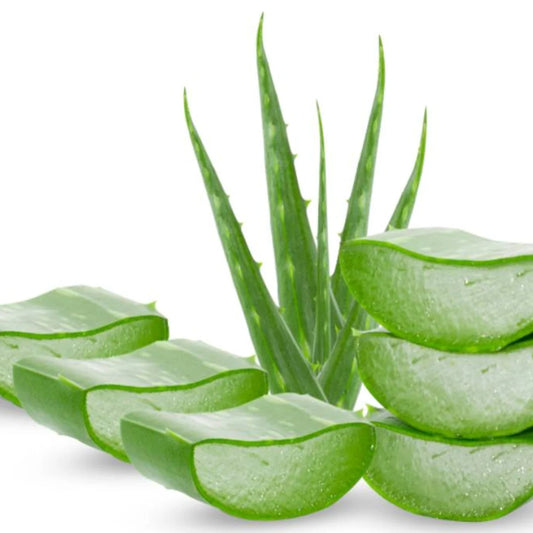 Locion de Aloe Vera
