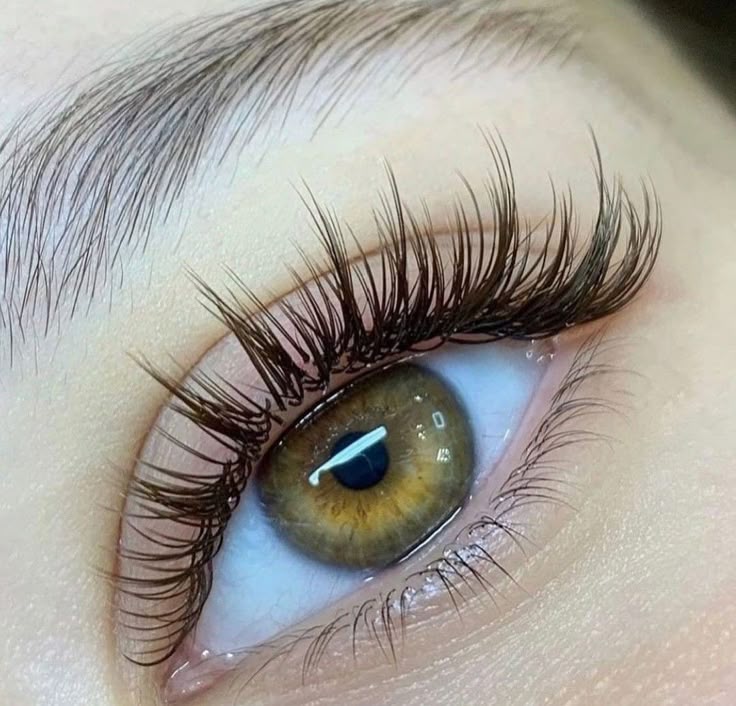 Shampoo para pestañas y cejas
