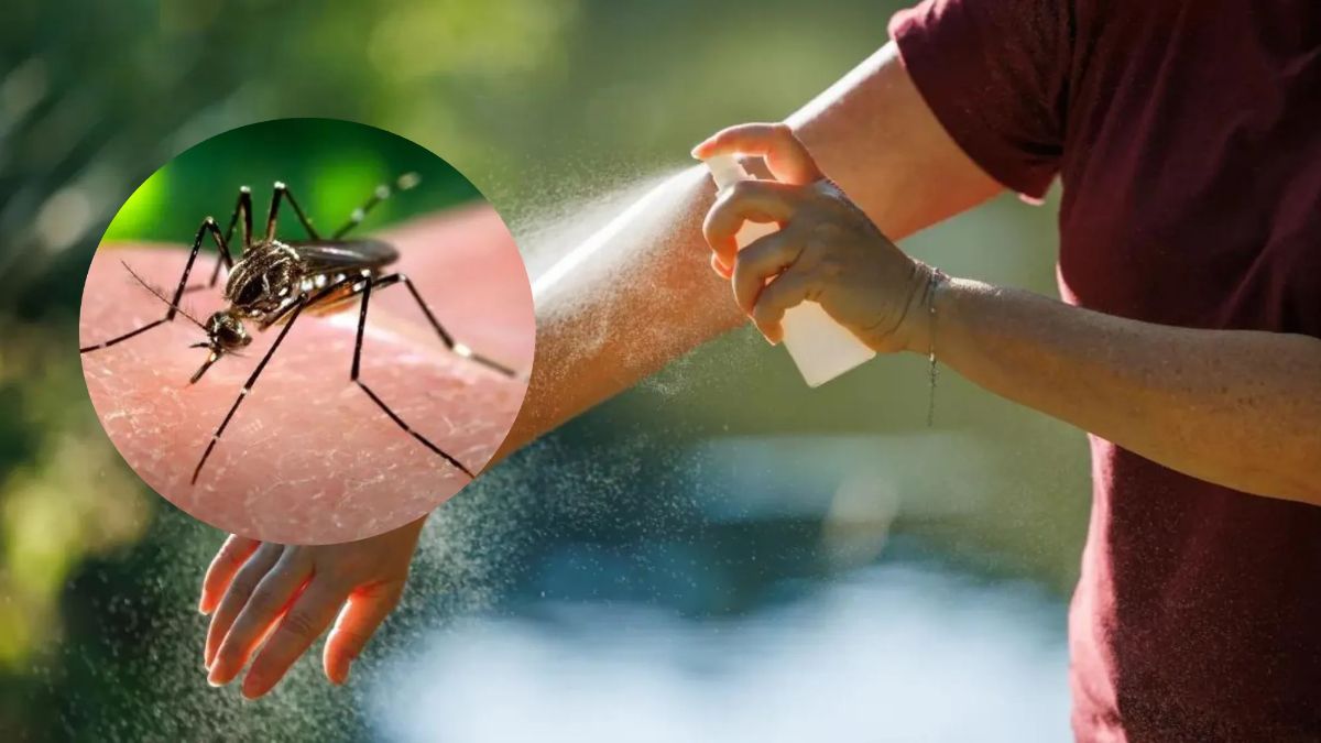 Repelente Natural de Mosquito